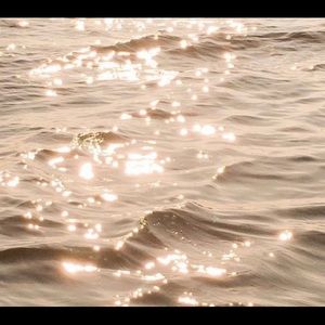 Meet your Posher, Ellie